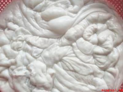 大肠怎样处理才干净(猪肠是用以运输和吸收吃的食物的)