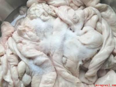大肠怎样处理才干净(猪肠是用以运输和吸收吃的食物的)