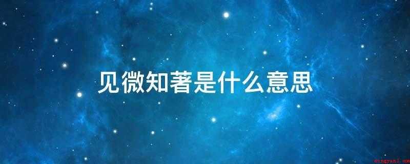 见微知著是什么意思(看到事情刚外露的一点迹象,就能了解其实质和发展的趋于)