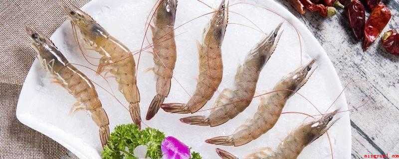 海白虾是海虾吗(海白虾是海虾,也被称为红虾和大红虾)