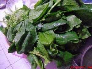 什么菜汁和面颜色最绿（菠菜汁和面颜色最绿的做法）