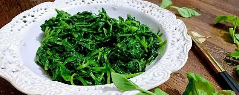 豌豆尖怎么做好吃(豌豆苗的营养价值高和绿色无公害)