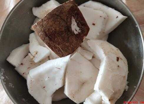 椰子片的做法(椰子片的作法,椰子鞋1个)
