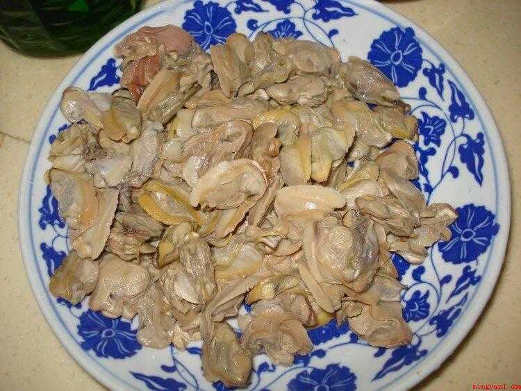 河蚌怎么炒好吃（河蚌的营养价值有哪些?）