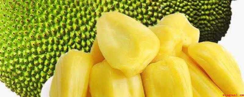 菠萝蜜剥好后还会熟吗