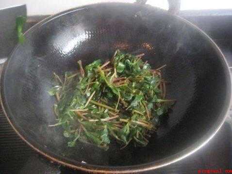 马齿笕怎么炒好吃