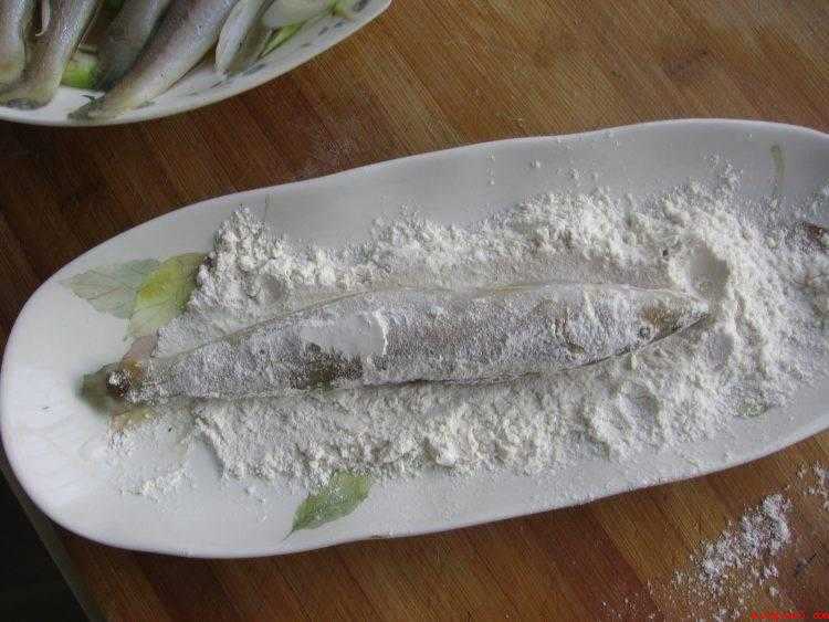 沙丁鱼怎么做好吃(从冰箱里取出沙丁鱼解冻)