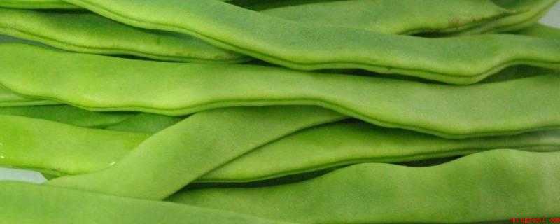 扁豆吃不了的怎样冷冻保存
