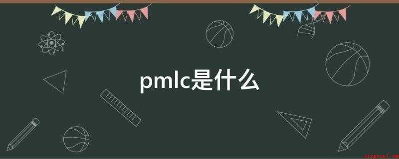 pmlc是什么(大学生论文联合对比库可以检测到以前学生的本科毕业论文)