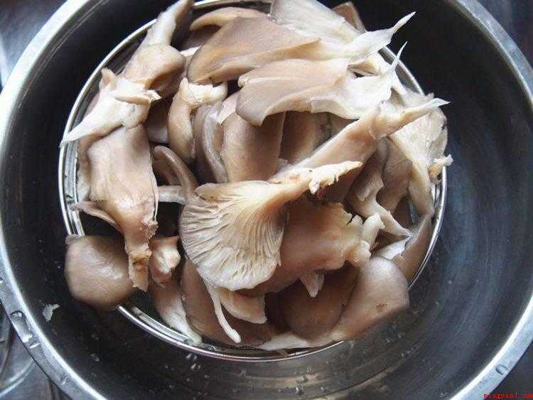 干炸蘑菇怎么做就脆(蘑菇洗净撕成小块,面粉和淀粉加水均匀)