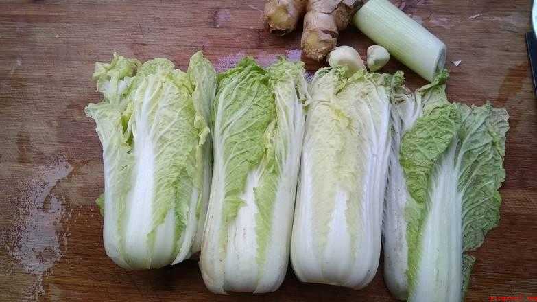 怎么炒娃娃菜好吃（娃娃菜的做法_宠物频道）