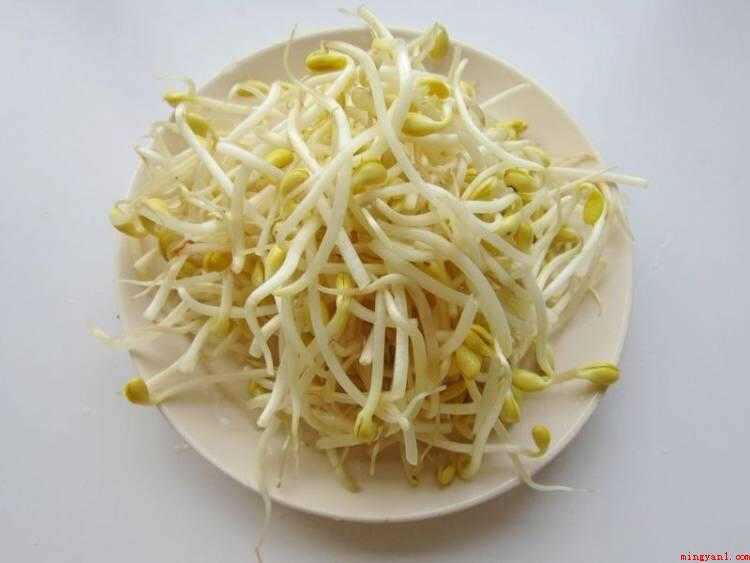 豆芽炒肉怎么做好吃
