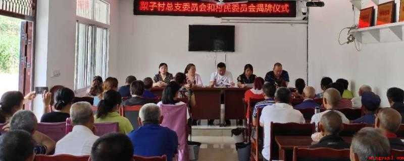 社区和村委会有啥区别(村民委员会是村民自我约束、自我管理、自身服务项目的底层群众性)