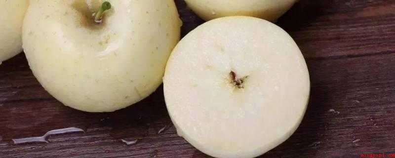 奶油苹果是什么品种(奶油富士苹果的采摘时间控制)