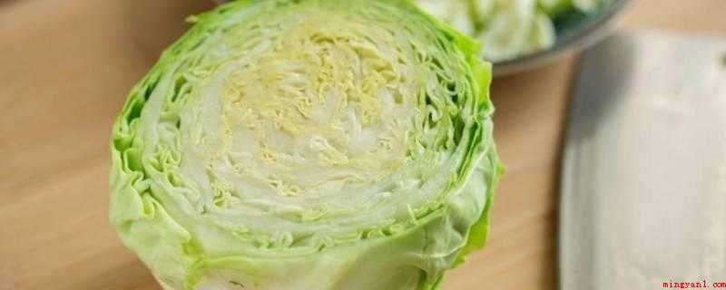 十字花科的蔬菜和水果有哪些(卷心菜的家常菜,你知道吗?)