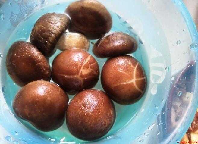 大粗蘑菇怎么炒好吃(素炒大粗蘑菇,做法简单)