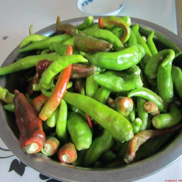 怎样腌整个青辣椒好吃(鲜辣椒晾干水分怎么做?)