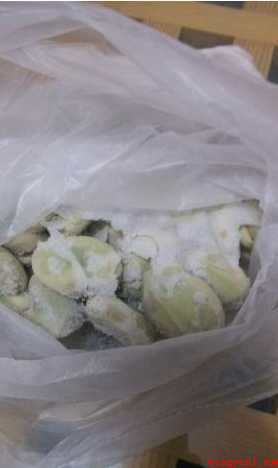 蚕豆如何长期保存(蚕豆长期保存方法)