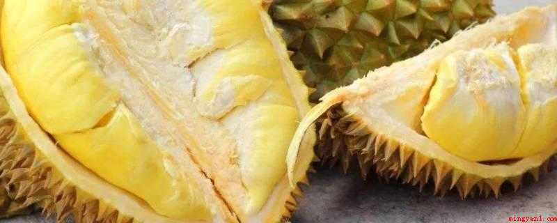 榴莲放塑料袋里放一夜会坏吗(冷冻榴莲是保存榴莲最常见、最受欢迎的方法)