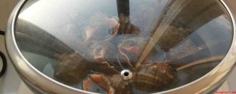 煮海螺是冷水还是热水煮需要多少时间（煮海螺是冷水入锅。大海螺煮10）