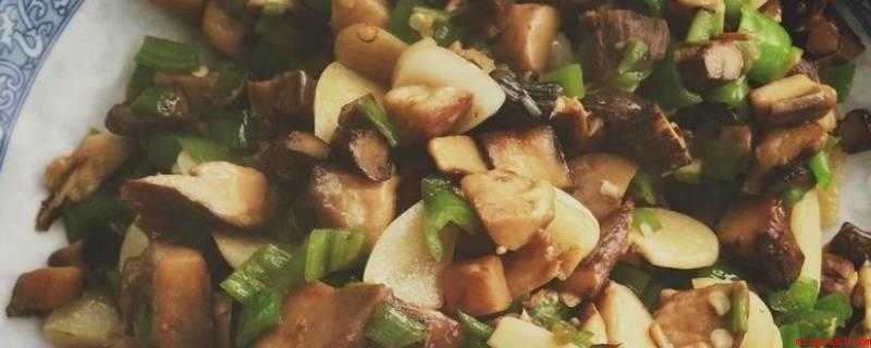 鸡纵菌怎么炒做好吃(鸡枞菌,青椒,蒜,盐,油。)