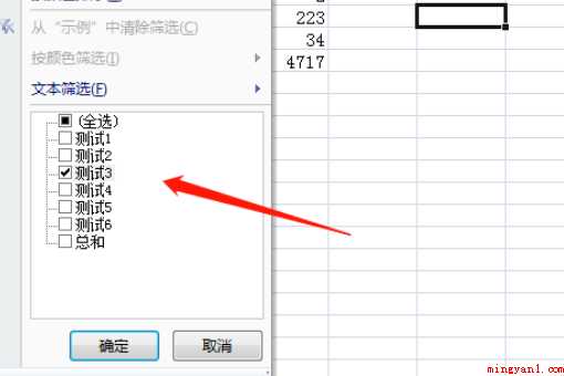 表格中如何筛选出信息