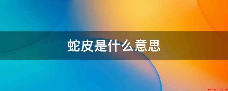 蛇皮是什么意思