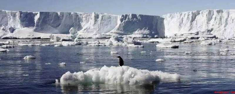 什么是拉尼娜现象(拉尼娜的现象是太平洋中东部海水异常变冷)