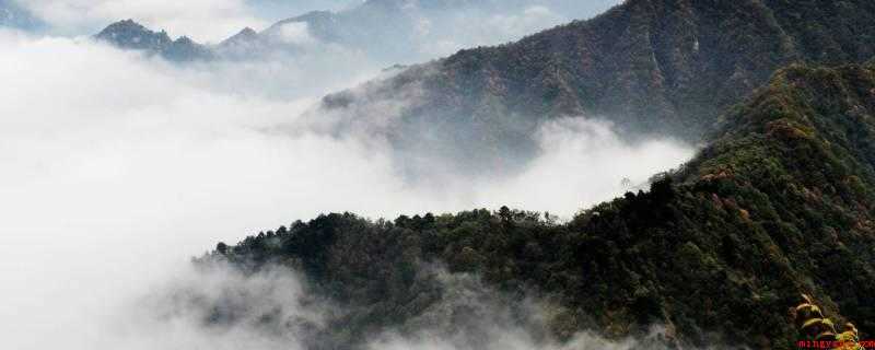 终南山在哪里(终南山,别名太乙山、地肺山、中南山、周南山)