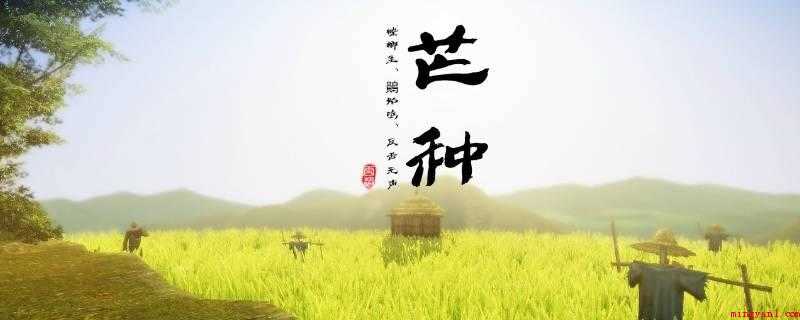芒种是什么意思(芒种是夏季的第三个节气,干支历午月的起始)