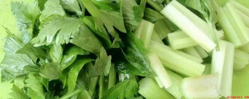 择波菜和芹菜时应去掉什么（菠菜的种类有哪些?_健康频道）