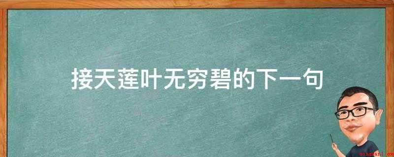 接天莲叶无穷碧的下一句(接天莲叶无穷碧,映日荷花别样红)