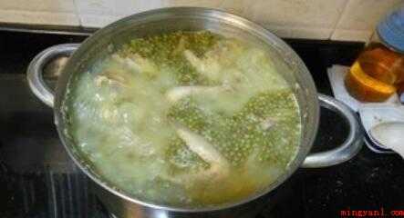 绿豆白鸽汤做法(绿豆白鸽汤的功效与作用)