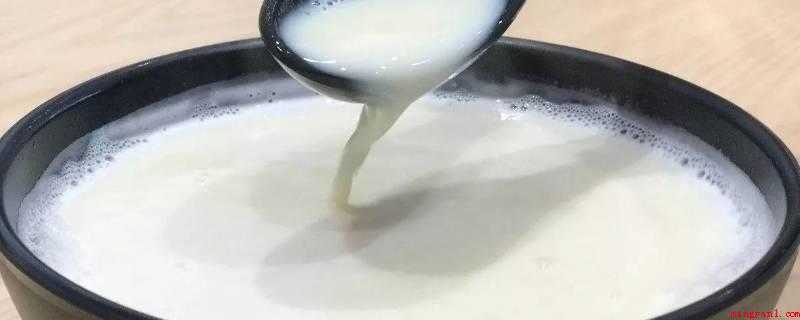 豆乳是什么（豆浆是指中国汉族传统饮料豆浆）
