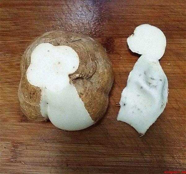 炒地瓜怎么做好吃(胡萝卜怎么做好吃 红薯配料)