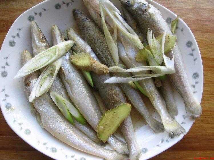 沙丁鱼怎么做好吃(从冰箱里取出沙丁鱼解冻)
