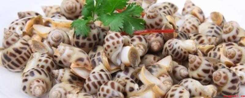 白灼花螺冷水还是热水煮(白灼花螺的做法)