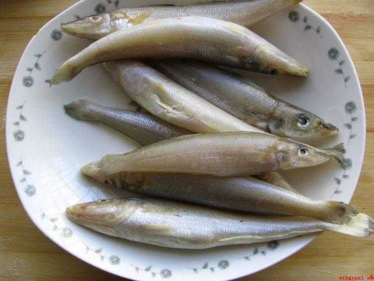 沙丁鱼怎么做好吃(从冰箱里取出沙丁鱼解冻)