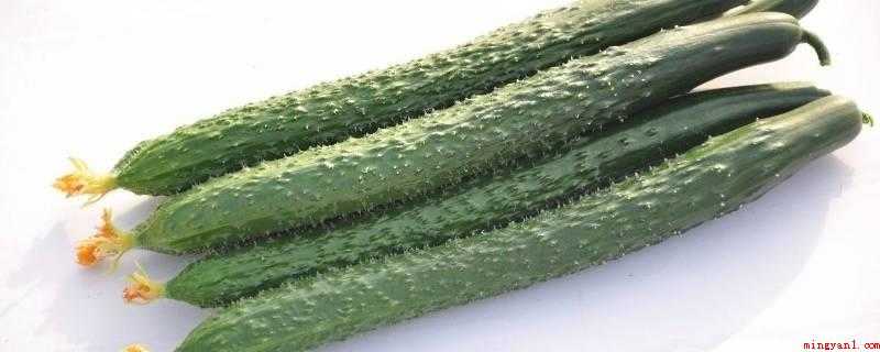 新买的黄瓜可以放冰箱里吗