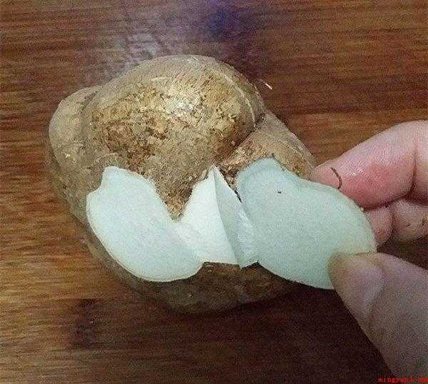 炒地瓜怎么做好吃(胡萝卜怎么做好吃 红薯配料)