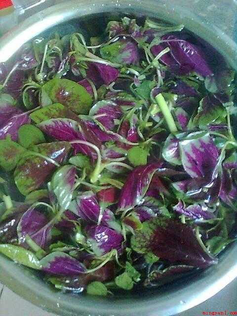 蔊菜怎么炒