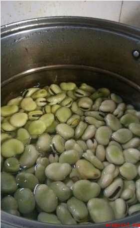 蚕豆如何长期保存(蚕豆长期保存方法)