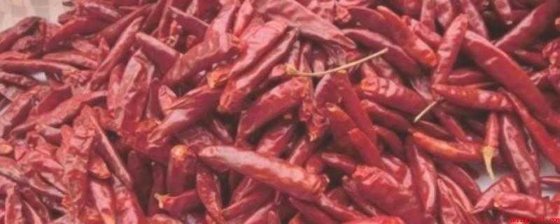 干辣椒为什么先泡水(干辣椒炒时先用水泡湿这样爆炒出的辣椒颜色亮,不易糊)