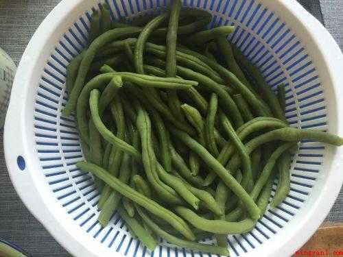 豆角怎么保存时间长新鲜(塑料袋长期保存豆类的方法)