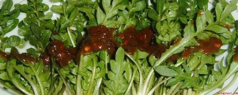 什么人不能吃荠菜(荠菜凉,脾胃虚弱的人不宜食用,尤其是大便不成形,宫寒者不宜多)