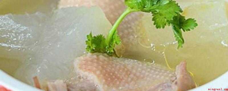 鸭子可以炖什么