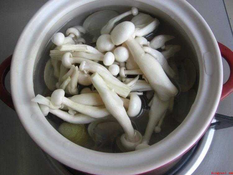 长条白蘑菇怎么做好吃(海鲜菇的做法_健康频道)