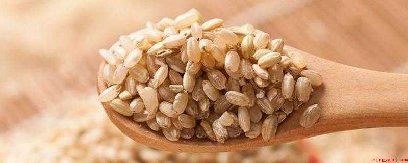 糙米的热量低,还是大米的热量低?（100克生糙米的发热量约为368大卡）