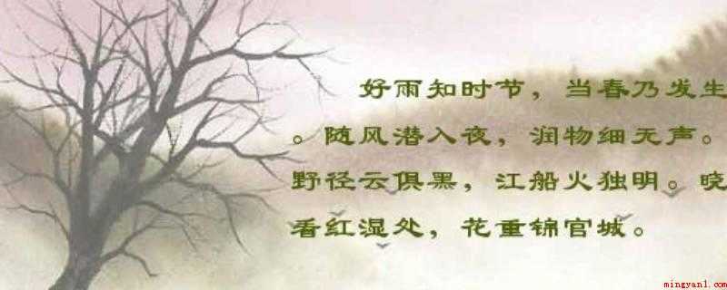 随风潜入夜的下一句(随风潜入夜的下一句为润物细无声)