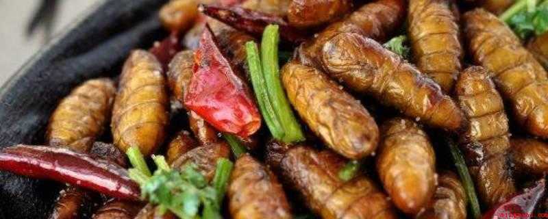 炒蚕蛹怎么做(香菜红辣椒切片,小火翻炒蚕蛹)